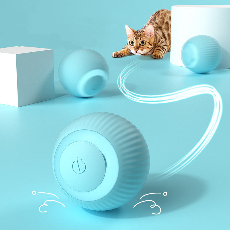 Interactive Cat Ball 2.0
