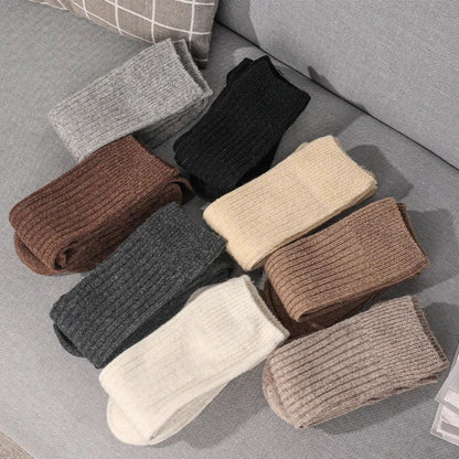 Casvian Socks - 8pk Autumn Bundle