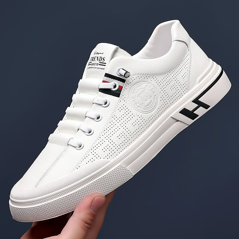 Davinci - Casual shoes