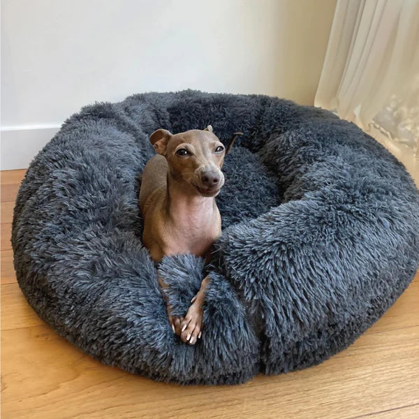 Bella&Toby - Dog Bed